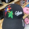 Gorra Colombia Guacamaya